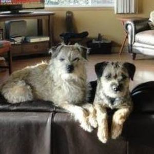 Meet your Posher, Marion